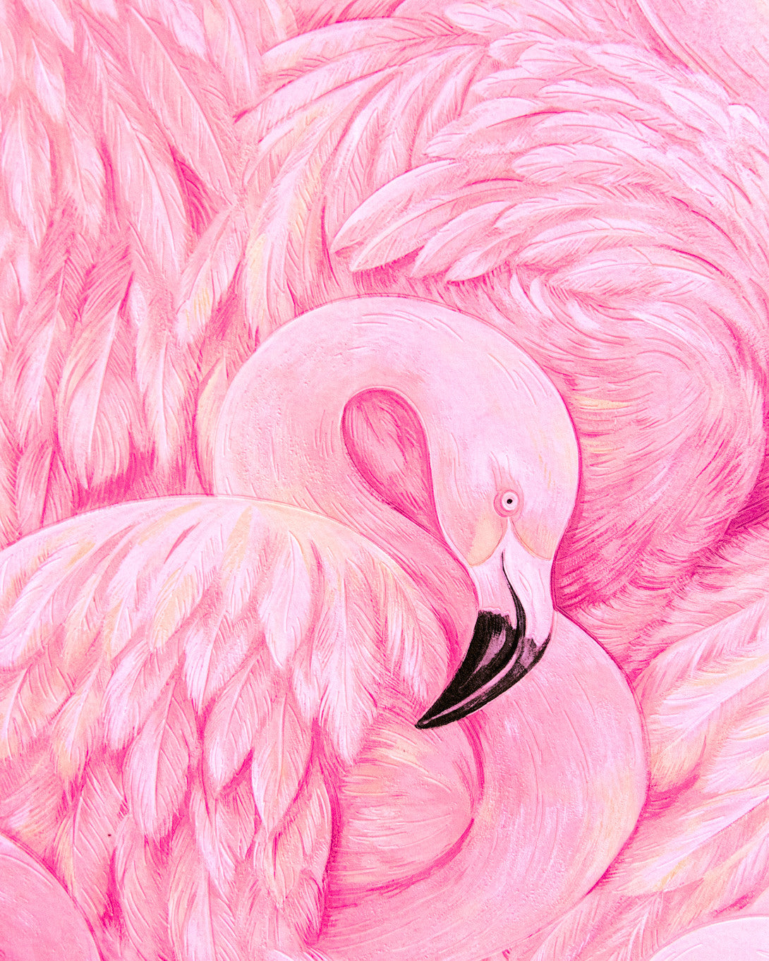 Flamingo Detail