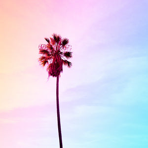 Santa Monica Dream