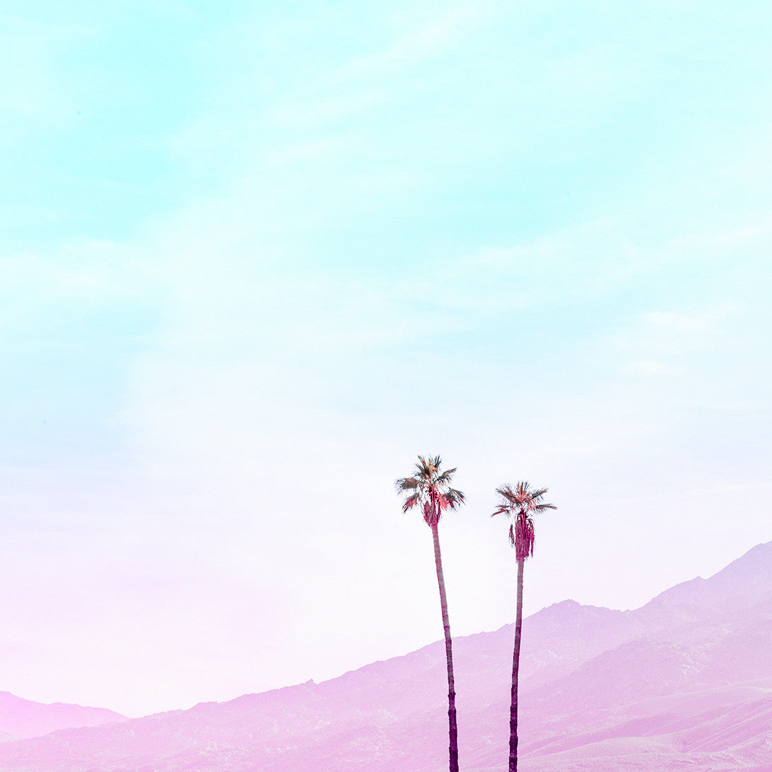 Palms and Mountains