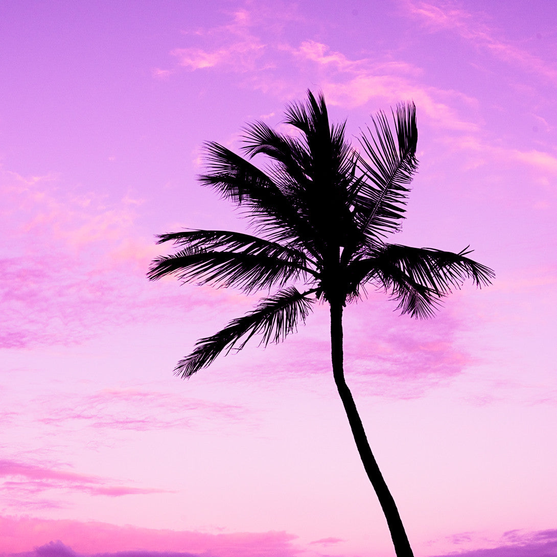 Purple Paradise