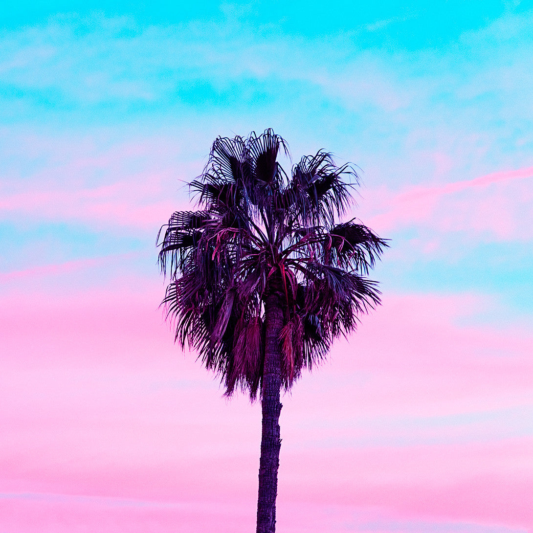 Candy Sunset Palm