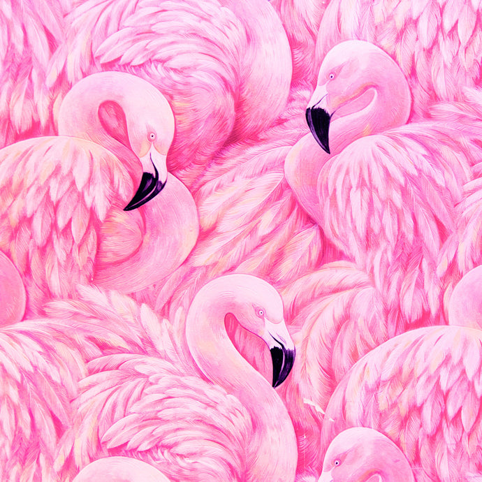 Flamingo Facade